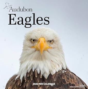 audubon eagles mini wall calendar 2026 1st edition workman calendars 1523531088, 978-1523531080