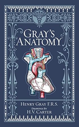 grays anatomy 1st edition henry gray 1435114930, 978-1435114937