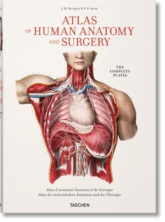 bourgery atlas of human anatomy and surgery 1st edition henri sick ,jean marie le minor 3836568985,