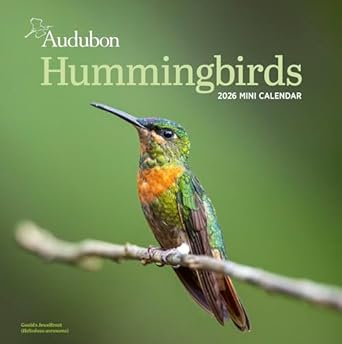 audubon hummingbirds mini wall calendar 2026 1st edition workman calendars 1523531061, 978-1523531066