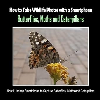 butterflies moths and caterpillars how i use my smartphone to capture butterflies moths and caterpillars 1st