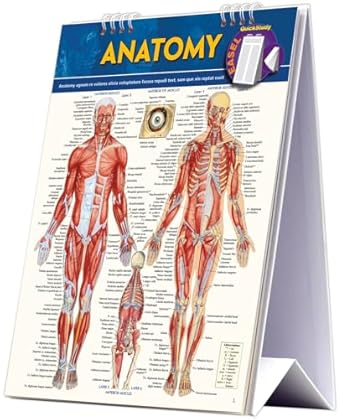 anatomy easel book a quickstudy reference tool 1st edition vincent perez 142322583x, 978-1423225836