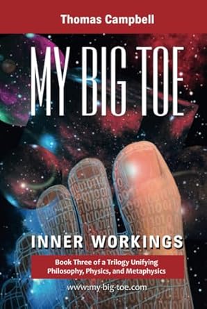 my big toe book 3 inner workings 1st edition thomas campbell 0972509453, 978-0972509459