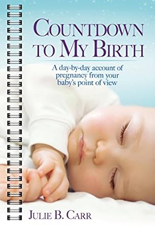countdown to my birth a day by day account of pregnancy from your babys point of view 1st edition julie b