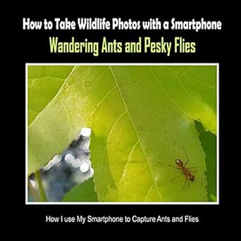 wandering ants and pesky flies how i use my smartphone to capture ants and flies 1st edition c mahoney