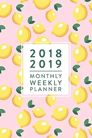 2018 2019 monthly weekly planner pink lemons july 2018 december 2019 6 x 9 1st edition creative notebooks
