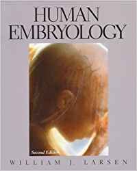 human embryology 1st edition ph d larsen william james 0443087245, 978-0443087240