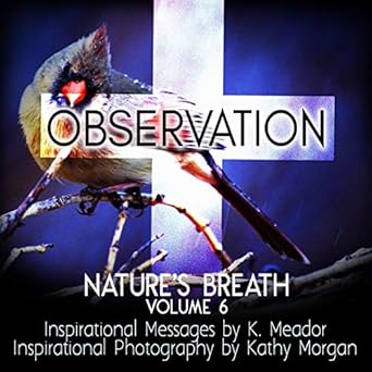 natures breath observation volume 6 1st edition k meador 1726263452, 978-1726263450