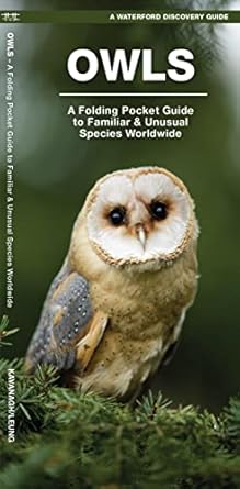 owls a folding pocket guide to familiar species worldwide 1st edition james kavanagh ,raymond leung