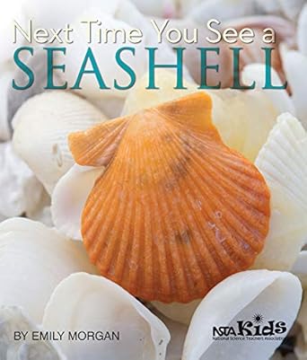 next time you see a seashell 1st edition emily morgan 1936959151, 978-1936959150