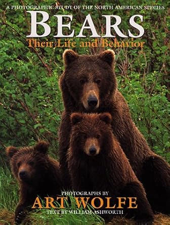 bears their life and behavior a photographic study of the north american species 1st edition william ashworth