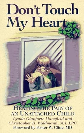 dont touch my heart healing the pain of an unattached child 1st edition lynda gianforte mansfield