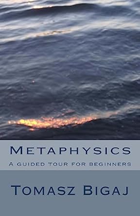 metaphysics a guided tour for beginners 1st edition tomasz bigaj 1475055404, 978-1475055405