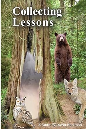 collecting lessons a fable 1st edition david hartman 096227285x, 978-0962272851