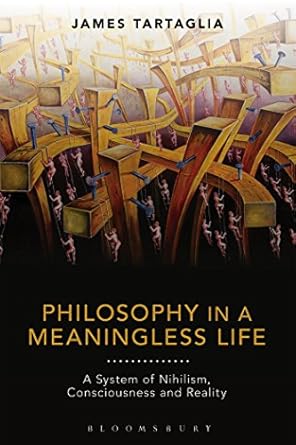 philosophy in a meaningless life a system of nihilism consciousness and reality 1st edition james tartaglia
