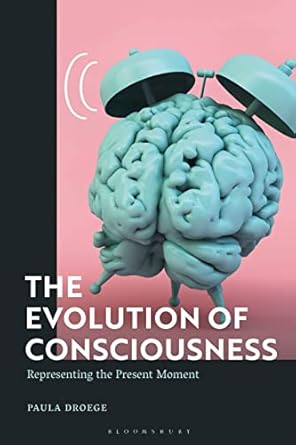 evolution of consciousness the representing the present moment 1st edition paula droege 1350278084,