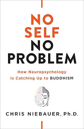 no self no problem how neuropsychology is catching up to buddhism 1st edition chris niebauer phd phd