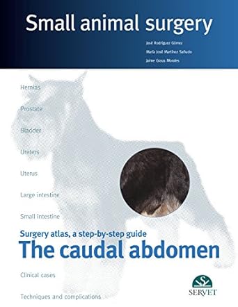 the caudal abdomen small animal surgery 1st edition jose rodriguez gomez ,jaime graus morales ,maria jose