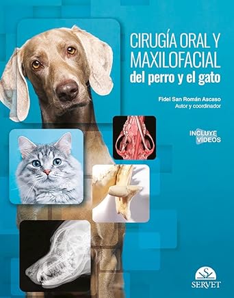 cirugia oral y maxilofacial del perro y el gato 1st edition fidel san roman ascaso 8418339551, 978-8418339554
