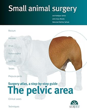 the pelvic area small animal surgery 1st edition jose rodriguez gomez ,jaime graus morales ,maria jose