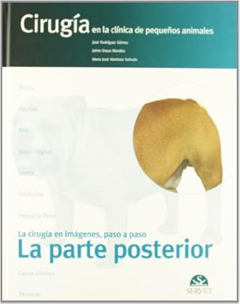 cirugia en la clinica de pequenos animales la parte posterior 1st edition jose rodriguez gomez ,jaime graus