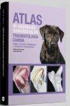atlas de abordajes quirurgicos en traumatologia canina 1st edition jordi franch serracanta ,carlos lopez