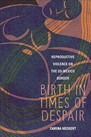 birth in times of despair 1st edition carina heckert 1479832073, 978-1479832071