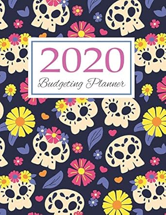 budgeting planner 2020 personal financial planner daily expense tracker monthly bill organizer workbook