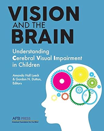 vision and the brain understanding cerebral visual impairment in children 1st edition amanda hall lueck