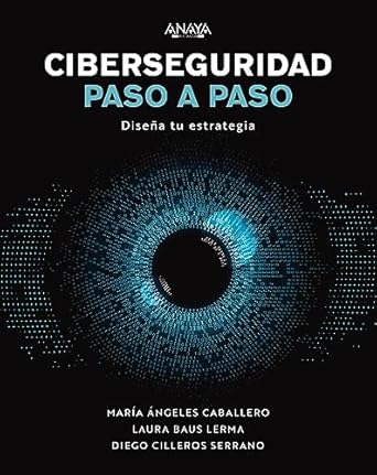 ciberseguridad paso a paso disena tu estrategia 1st edition maria angeles caballero velasco ,laura baus lerma
