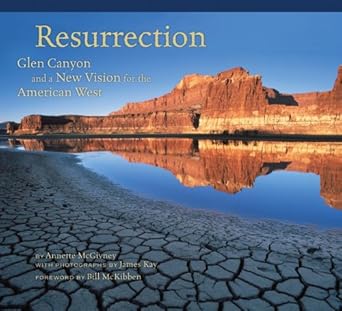 resurrection glen canyon and a new vision for the american west 1st edition annette mcgivney ,james kay