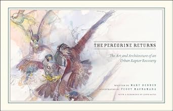 the peregrine returns the art and architecture of an urban raptor recovery 1st edition mary hennen ,peggy