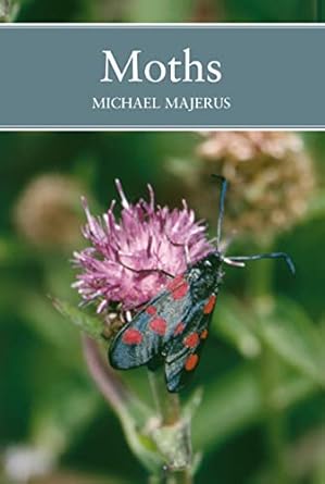 moths 1st edition michael majerus 0002201429, 978-0002201421