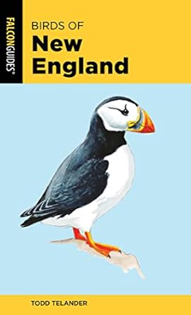 birds of new england 1st edition todd telander 1493051903, 978-1493051908