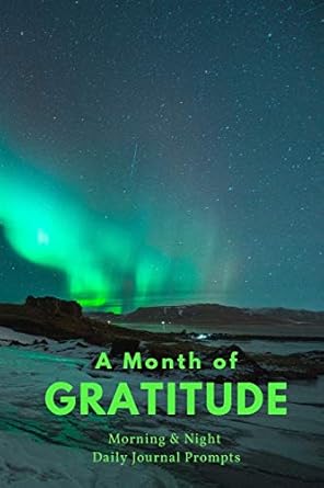 a month of gratitude morning and night daily journal prompts aurora borealis notebook with four weeks of