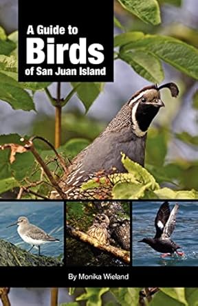 a guide to birds of san juan island 1st edition monika wieland 0615545955, 978-0615545950