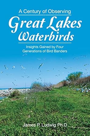 a century of observing great lakes waterbirds insights gained by four generations of bird banders 1st edition