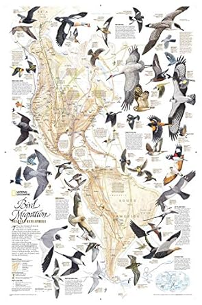 national geographic bird migration western hemisphere wall map laminated 1st edition national geographic maps