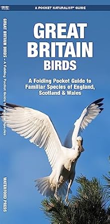 great britain birds 2nd ed a folding pocket guide to familiar species of england scotland and wales 1st