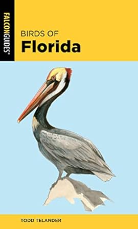 birds of florida 1st edition todd telander 1493051881, 978-1493051885