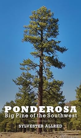 ponderosa big pine of the southwest 1st edition sylvester allred 0816531439, 978-0816531431