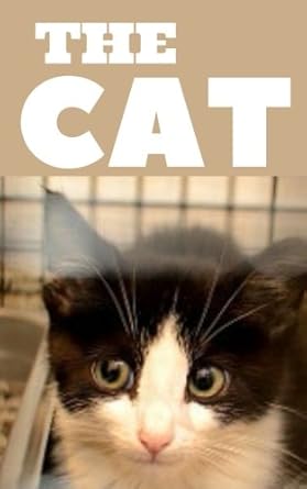 the cat password book password keeper password logbook password small book 5 x8 1st edition pussycat journal