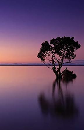 the hacker proof internet address password book sunset lake alphabetical website username and password