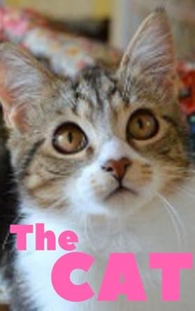 the cat password book password keeper password logbook password small book 5 x8 1st edition lawrence journal