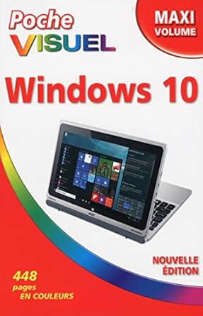 poche visuel windows 10 maxi volume 1st edition paul mcfedries ,anne le boterf 2754089950, 978-2754089951