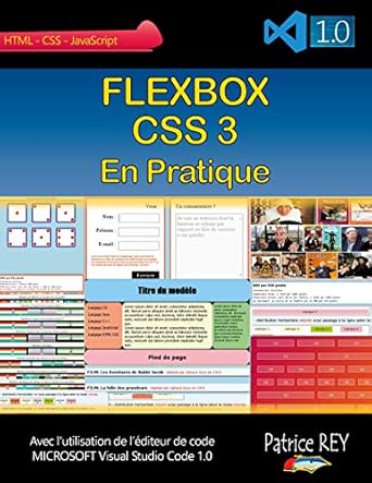 flexbox css 3 en pratique avec visual studio code 1 0 1st edition patrice rey 2322076694, 978-2322076697