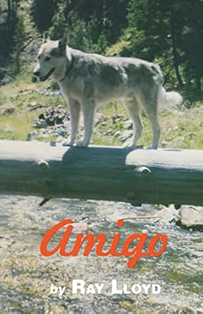 amigo 1st edition ray lloyd 1478220651, 978-1478220657