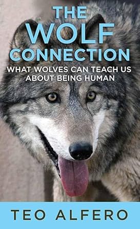 the wolf connection 1st edition teo alfero 1643583883, 978-1643583884