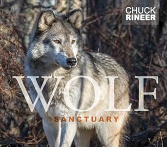 wolf sanctuary the wolves of speedwell forge 1st edition chuck rineer 0764354906, 978-0764354908