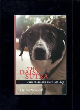 the daisy sutra 1st edition helen weaver 0970050283, 978-0970050281